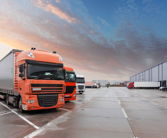 International Logistics & Transportation